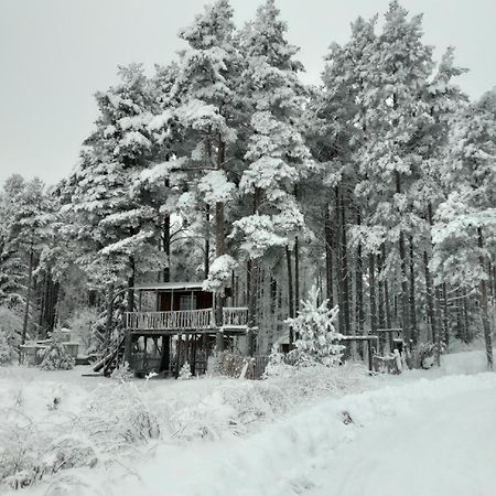 Elulong Camping Lohusuu Exterior photo